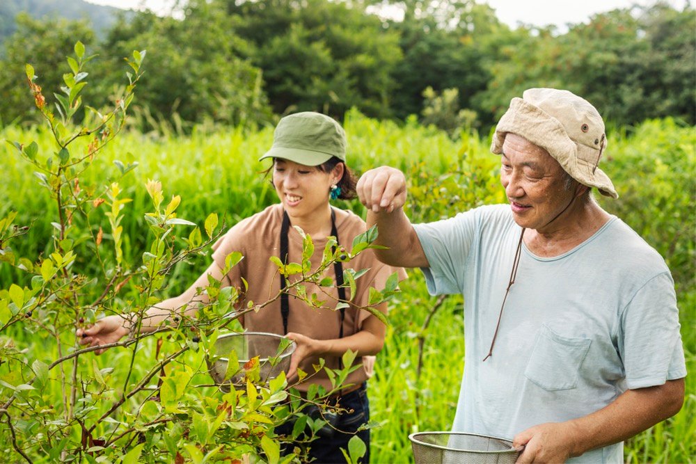 Homestay in Japan